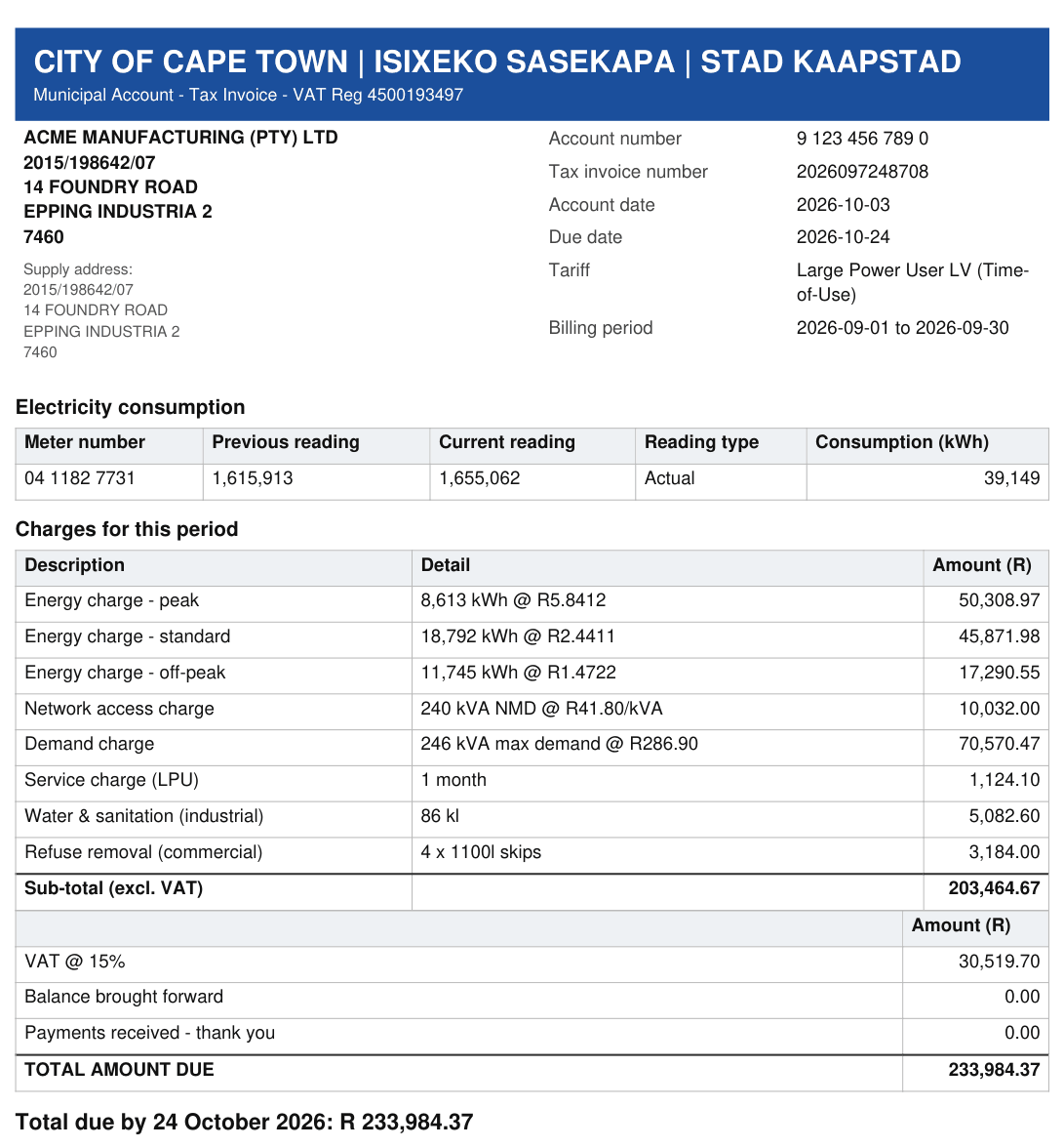 A City of Cape Town electricity account before solar: 39 149 kWh, R 233 984 due